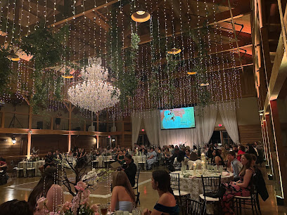 Southern Sky Event Lighting & Draping, Nashville