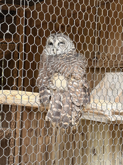 Owl's Hill Nature Sanctuary, Nashville