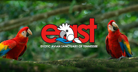 Exotic Avian Sanctuary of Tennessee, Inc., Nashville