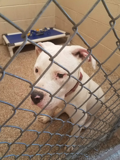 Humane Society of Sumner County, Nashville
