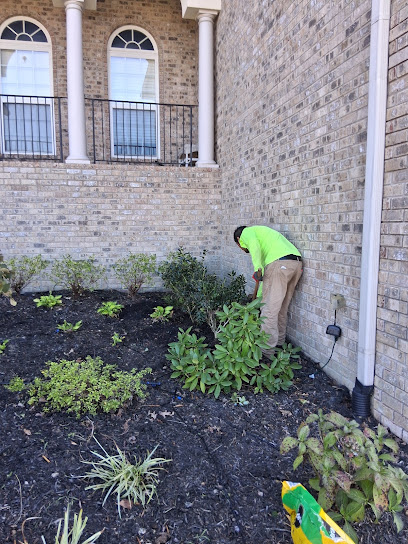 morales landscaping, Nashville