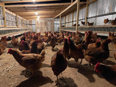 Maples Farm Fresh Eggs, Nashville
