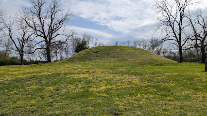 Fewkes Mound Archaeological Site, Nashville