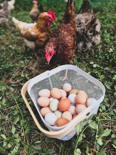 Nubby Farms, Nashville