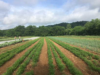 Bells Bend Farms, Nashville